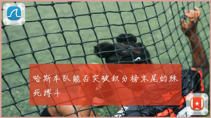 哈斯车队能否突破积分榜末尾的殊死搏斗