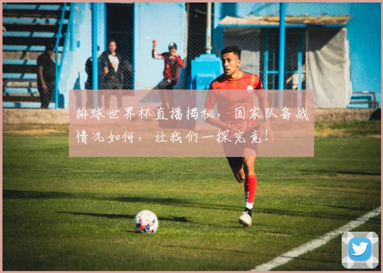 排球世界杯直播揭秘，国家队备战情况如何，让我们一探究竟！