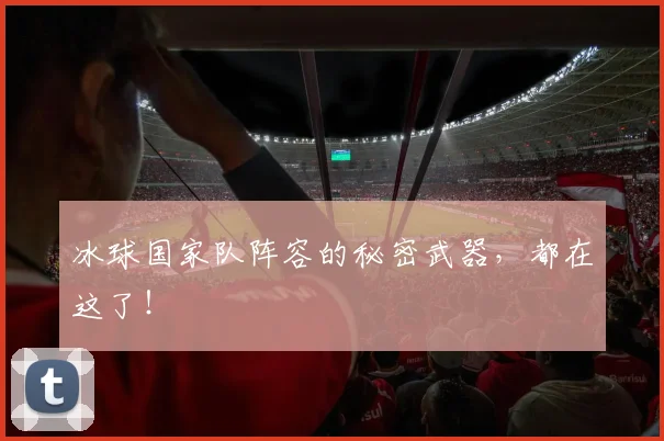 冰球国家队阵容的秘密武器，都在这了！