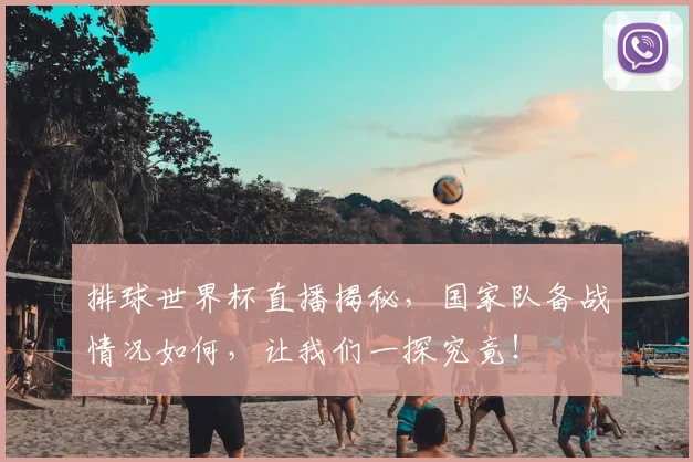 排球世界杯直播揭秘，国家队备战情况如何，让我们一探究竟！