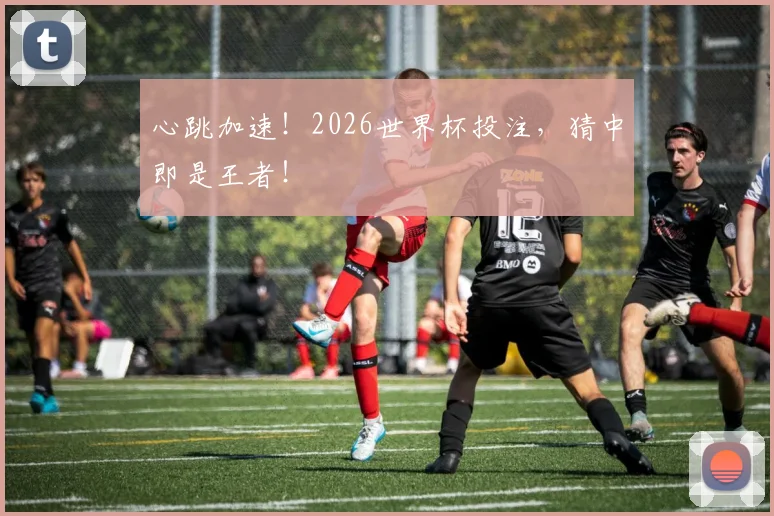 心跳加速！2026世界杯投注，猜中即是王者！